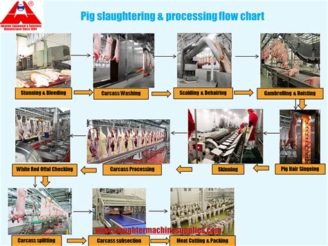 Processing and distribution of pig meat 